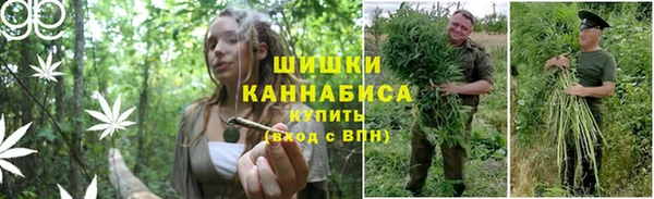 дурь Иннополис