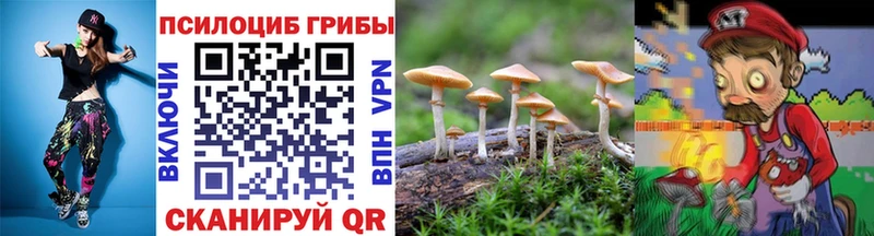 Псилоцибиновые грибы Magic Shrooms Кандалакша